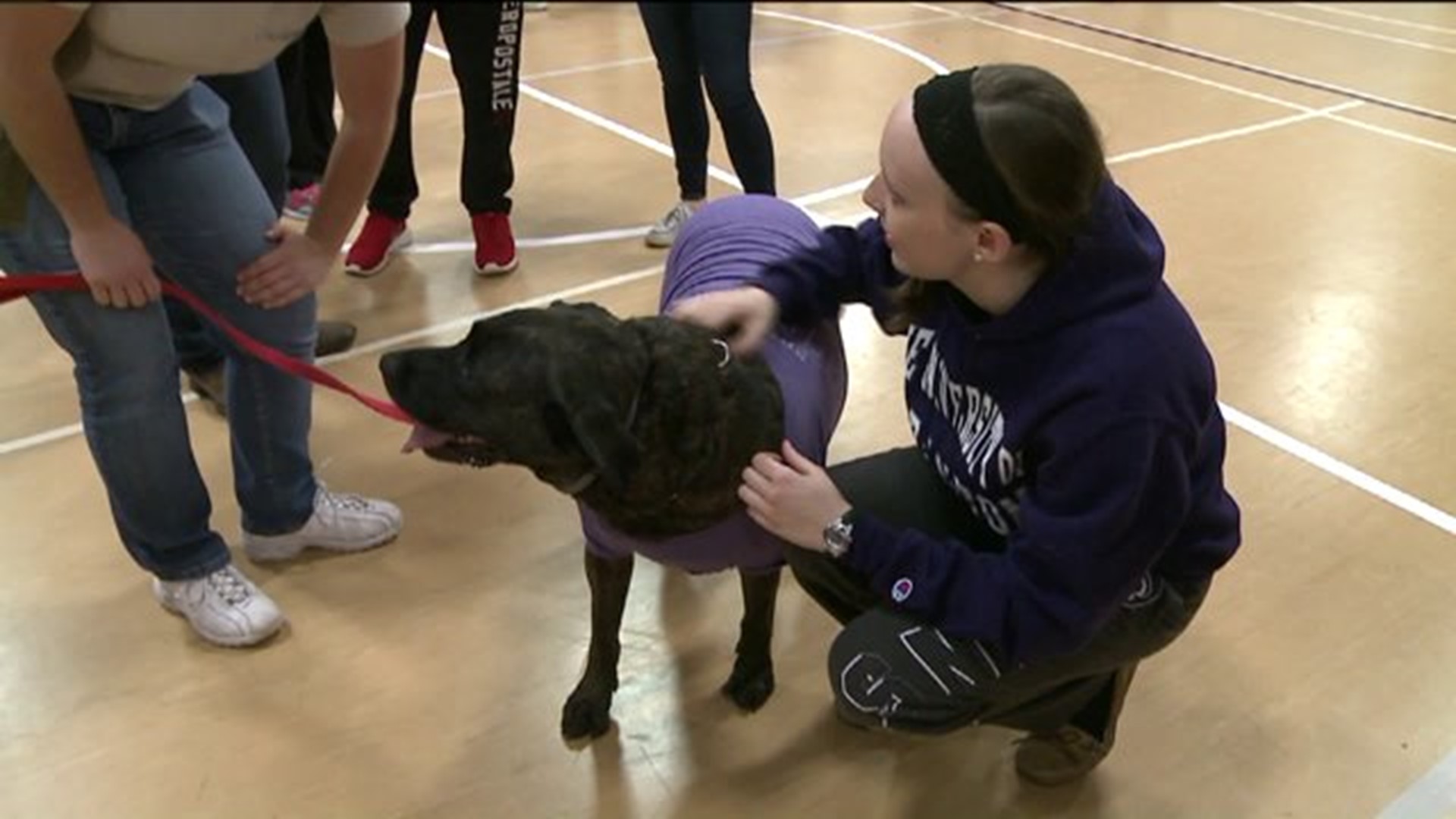 Students De-Stress with Pet Therapy