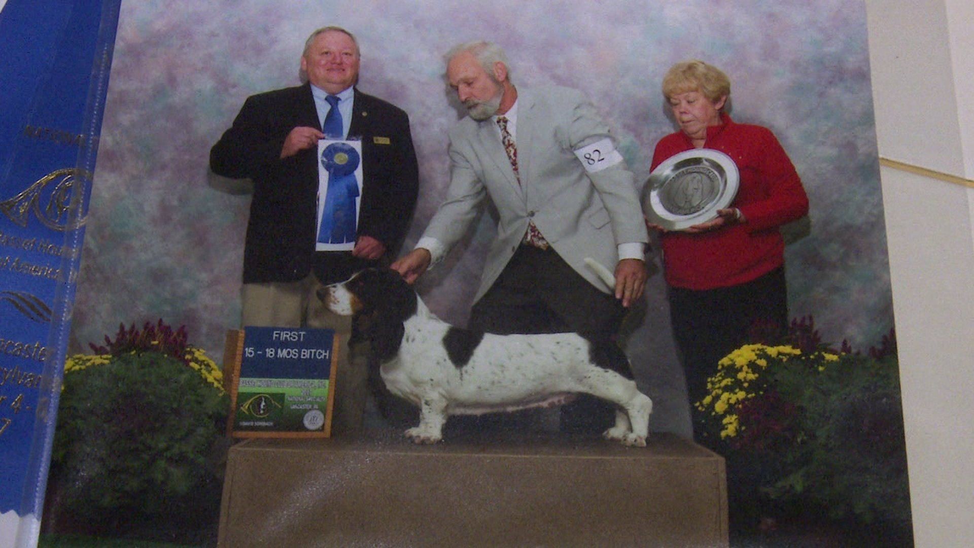 Basset Hound from Luzerne County to Compete in Westminster Dog Show