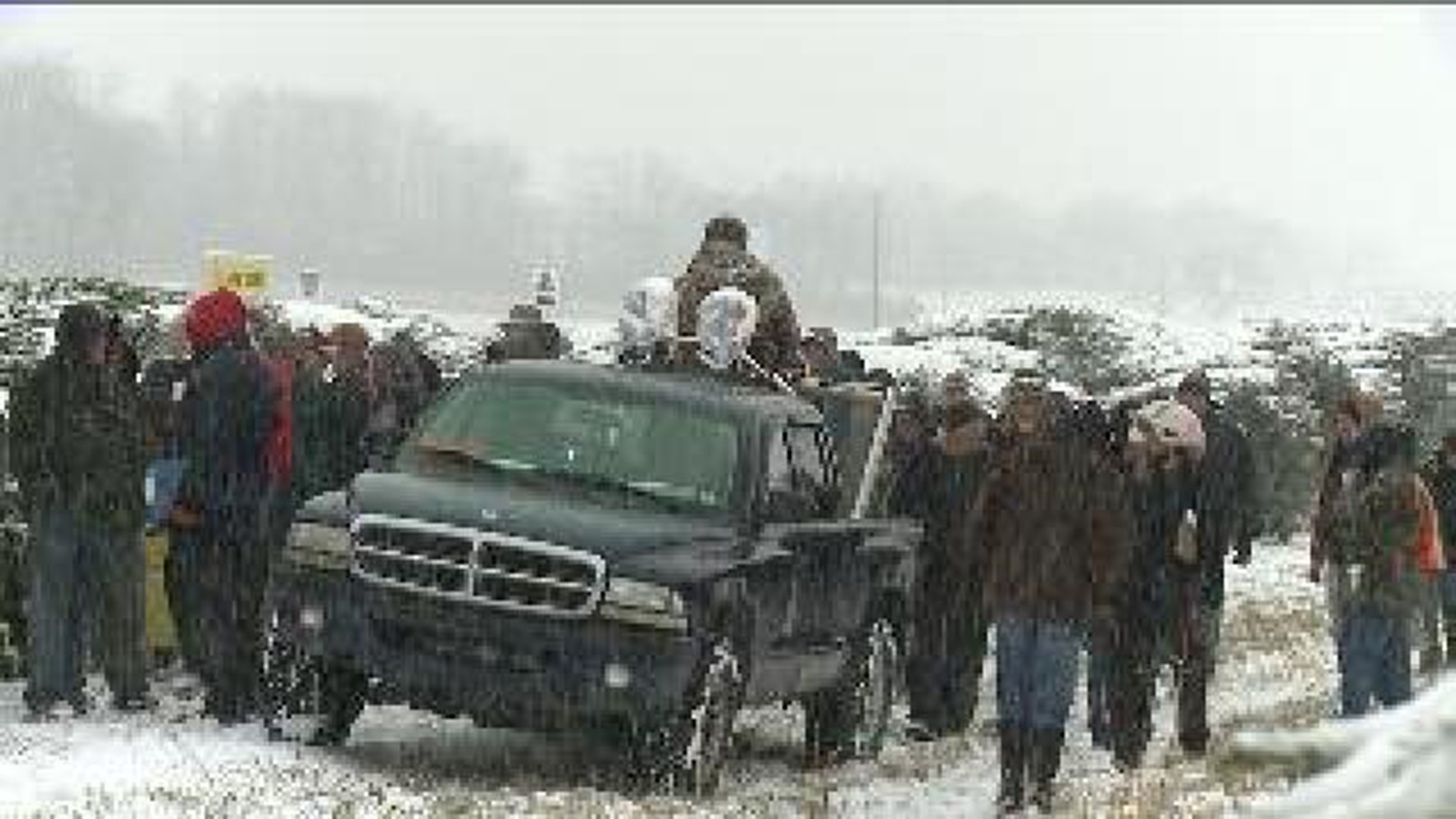Snowy Situation at Annual Christmas Tree Auction