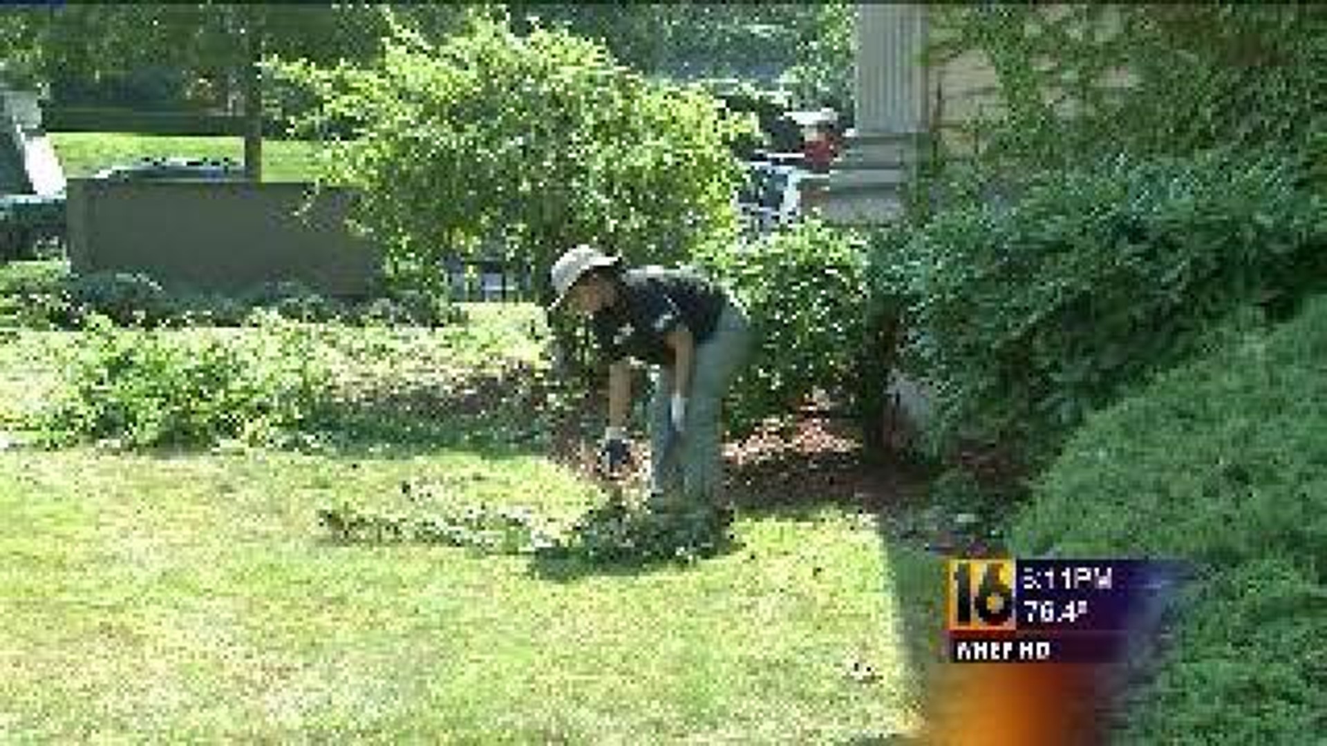 Businesses Volunteer for Day of Caring