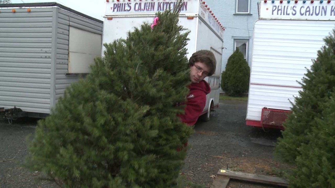 Christmas Tree Sale to Help Boy Scouts