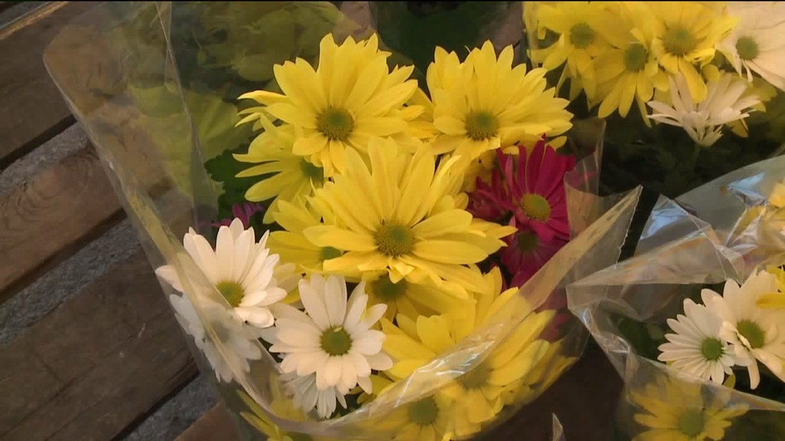 Flower Tents Busy for Easter Flowers