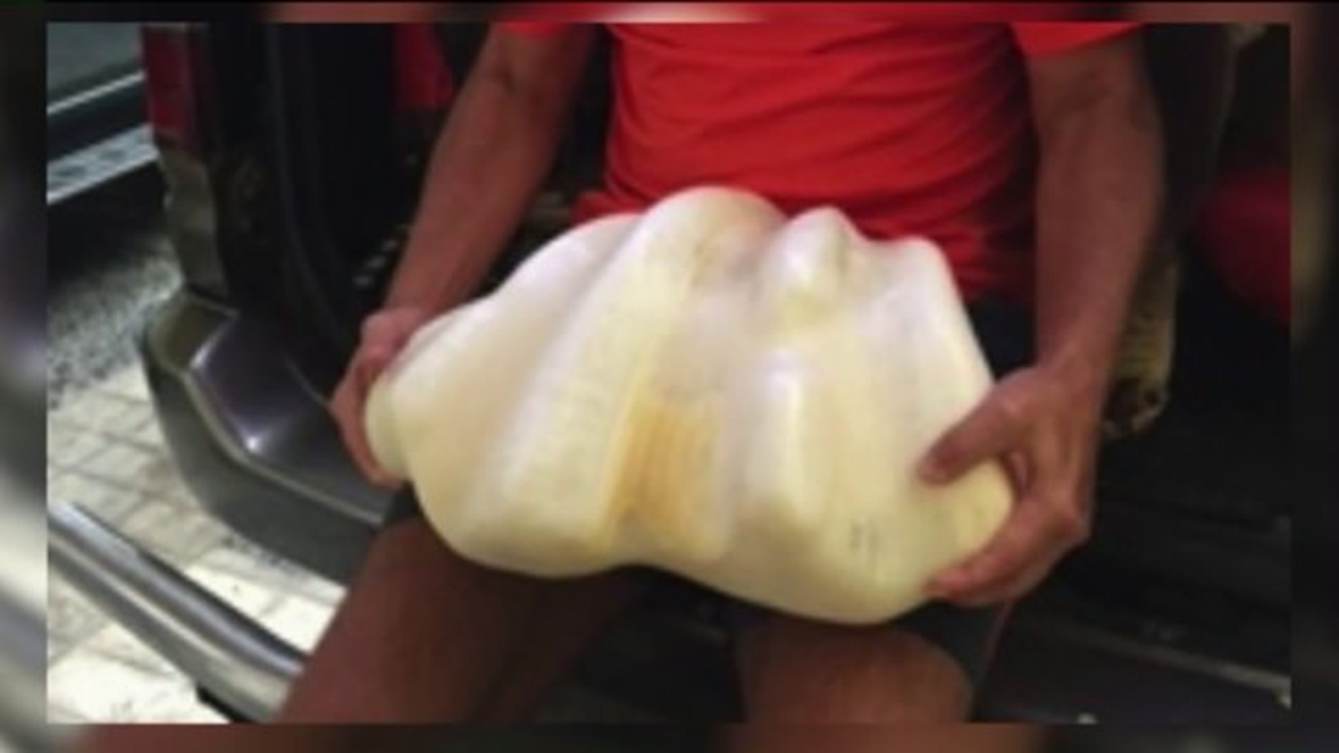 Lewisburg Man Helps Friend in Philippines with Massive Pearl
