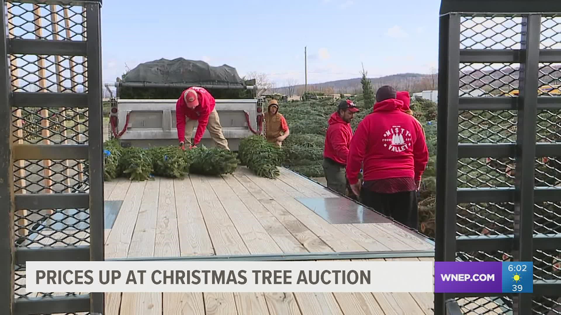 People from all over the country came to the Buffalo Valley Produce Auction to bid on trees.
