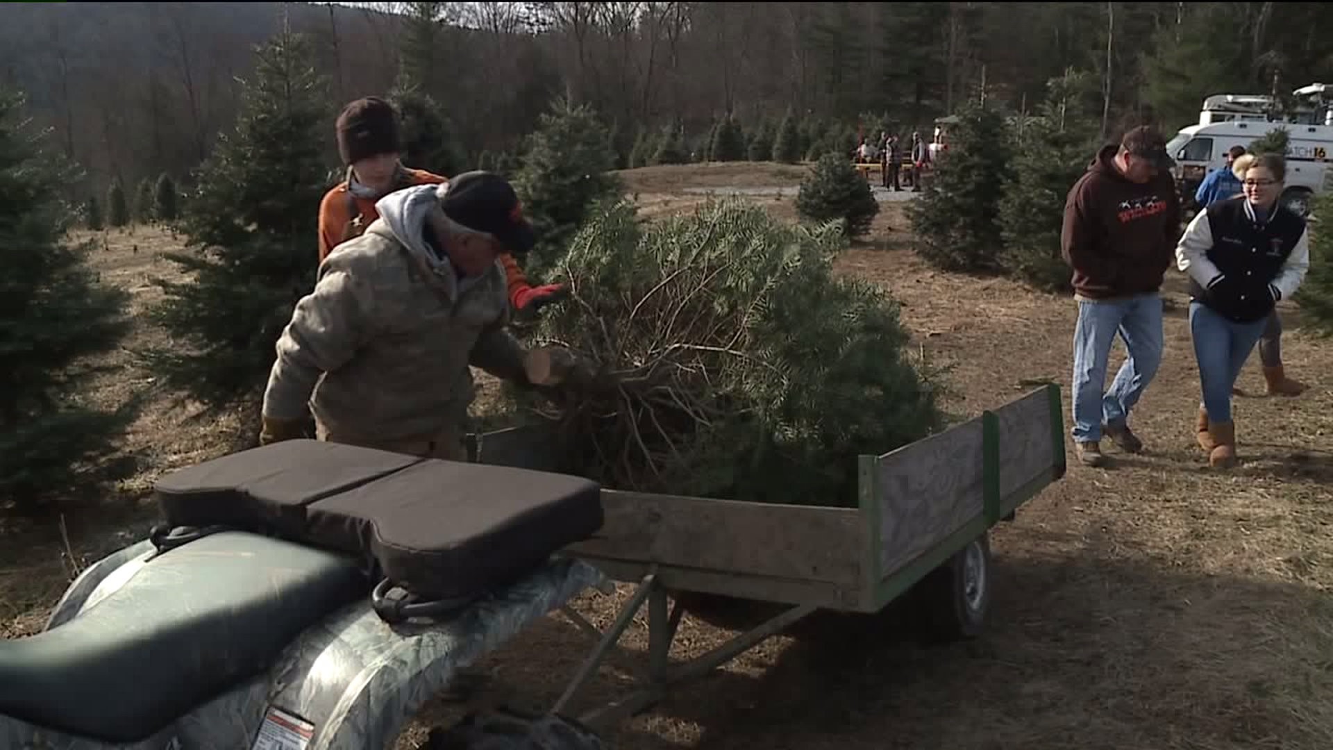 Despite Wild Year of Weather, Christmas Tree Farms Thriving During Busy Time