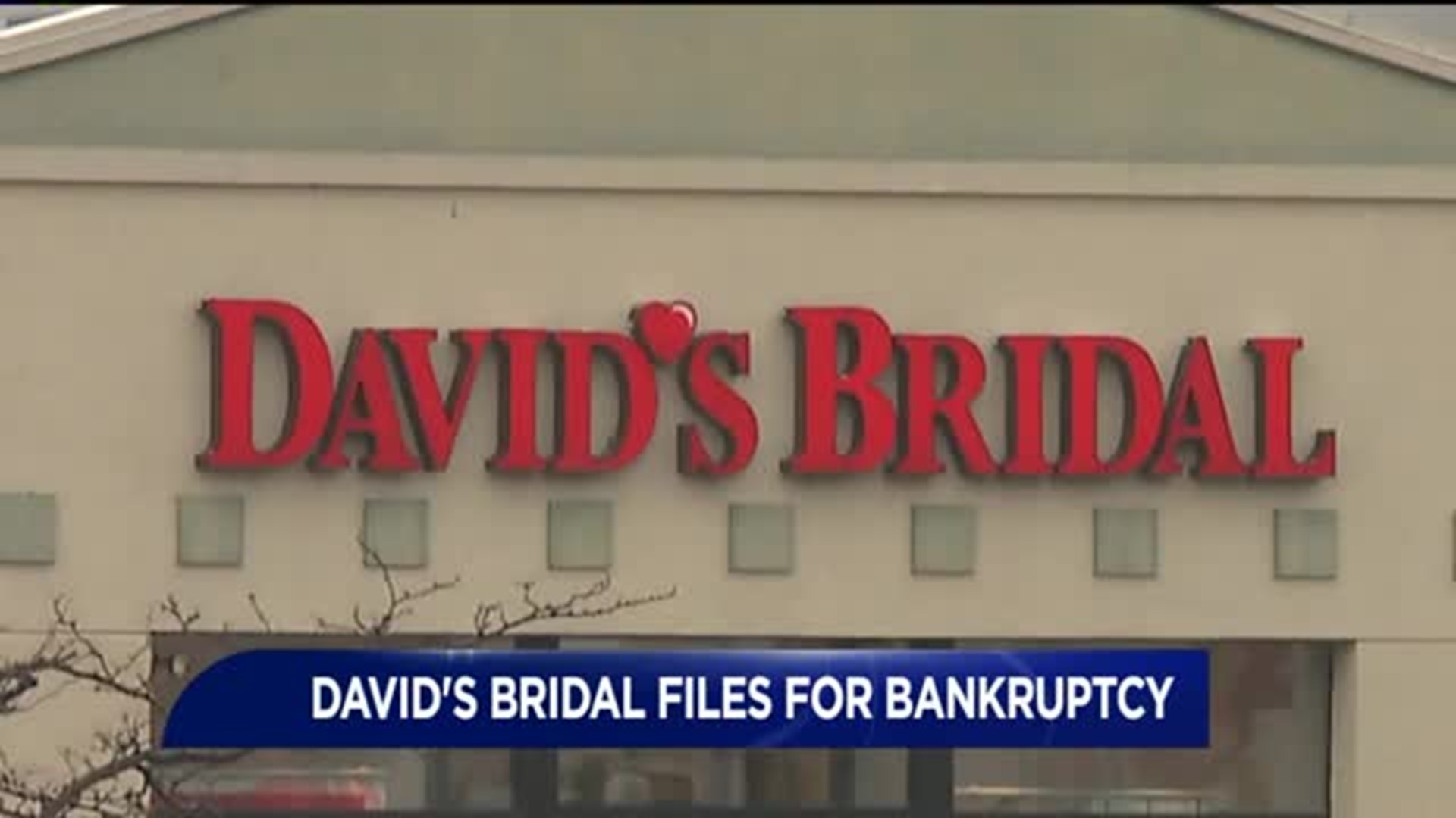 David's Bridal Is Filing for Bankruptcy