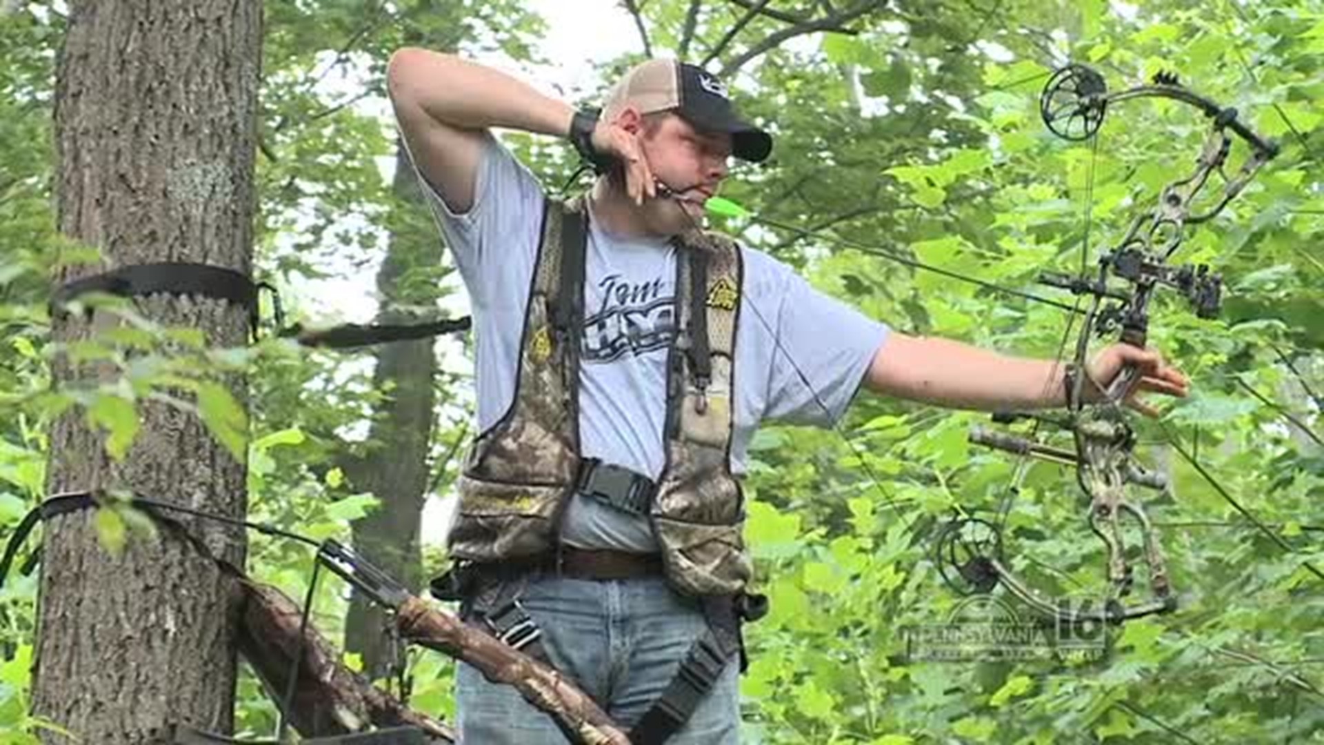 Treestand Shooting Tips
