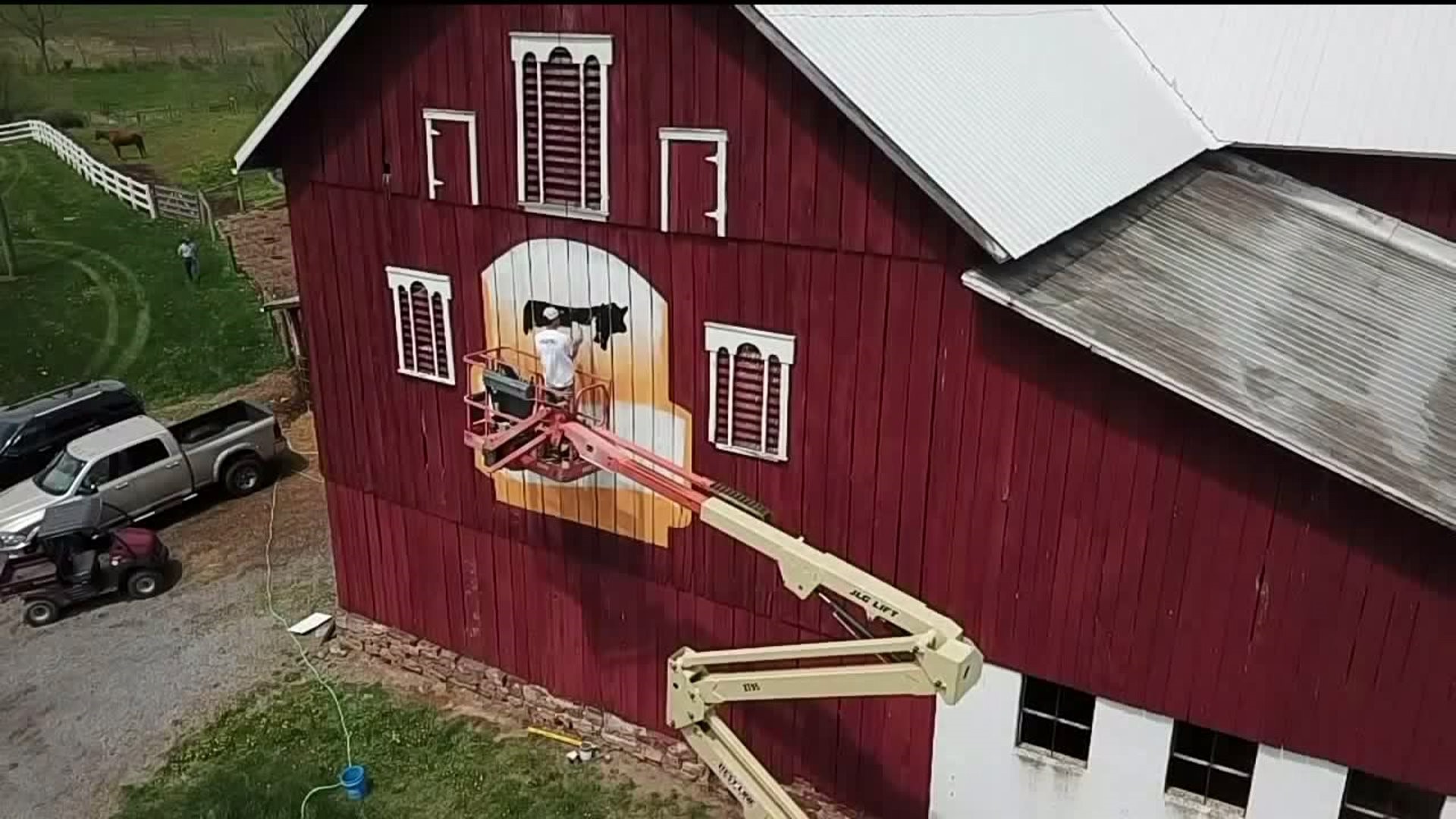Barn Painting at Beef Farm