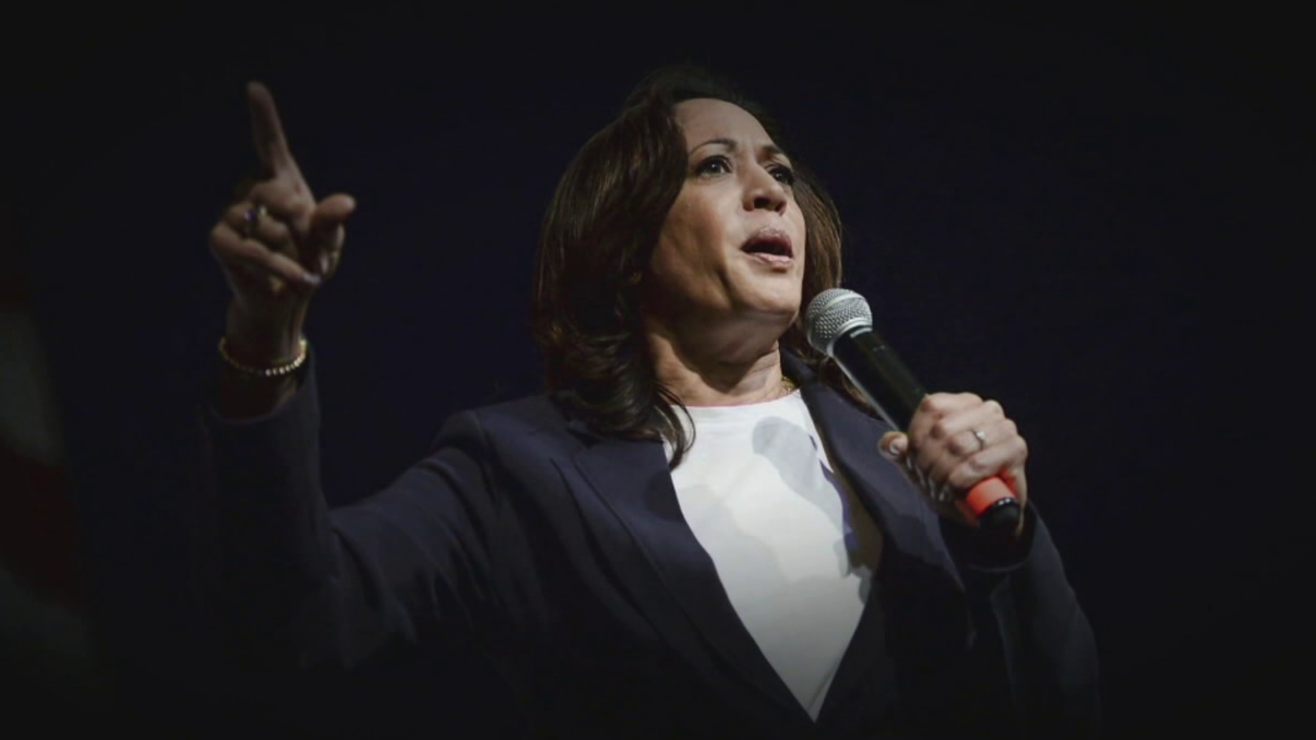 Vice President Kamala Harris is the clear front-runner for the Democratic nomination following the president's decision to bow out of the race.