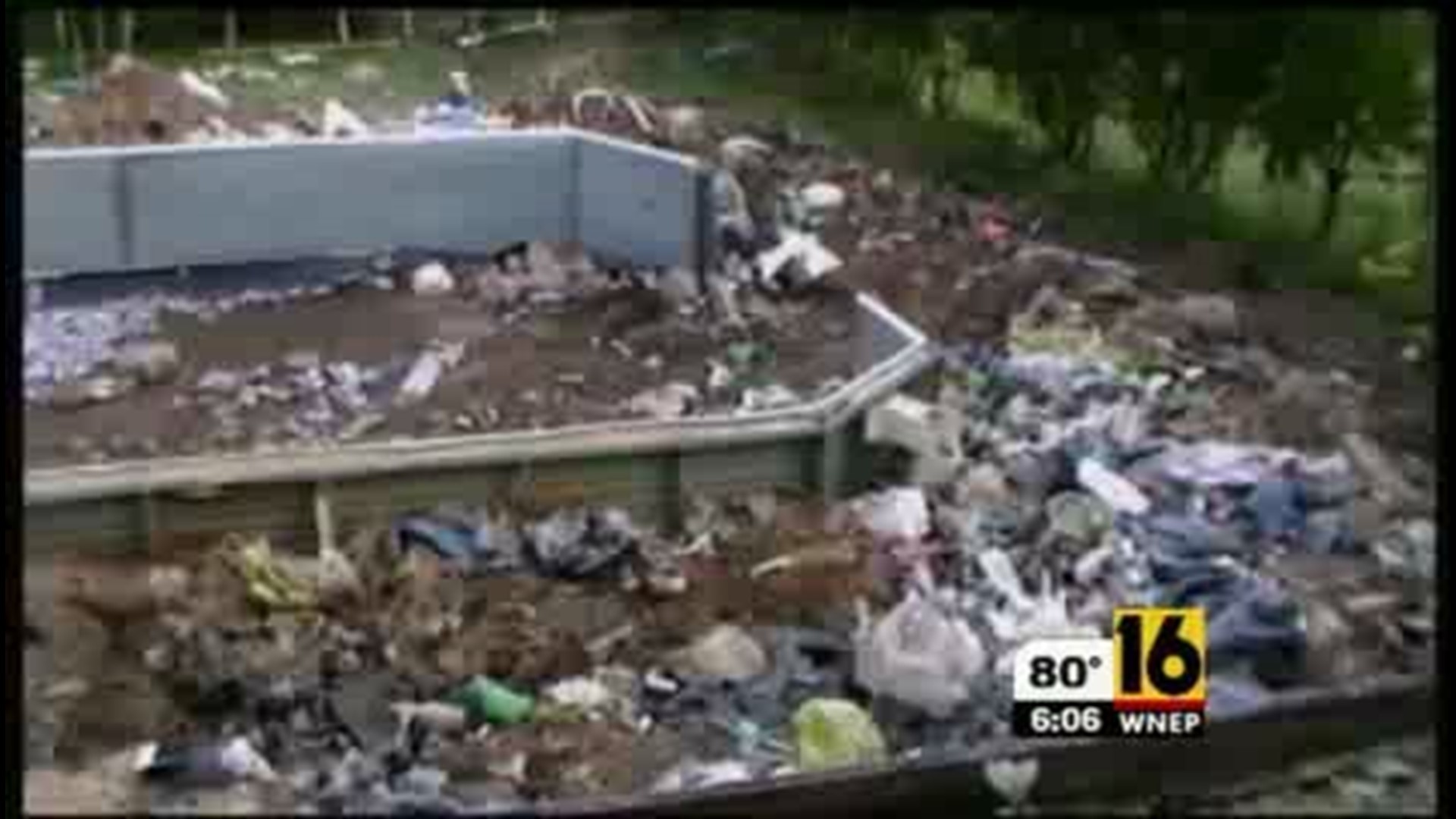 Woman Wins Judgement for Backyard Trash
