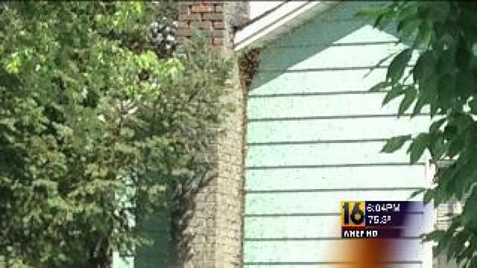 The Buzz in Blakely: Swarm Infests House