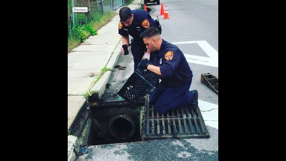 Long Island Police Rescue 14 Ducklings From Storm Drain | wnep.com