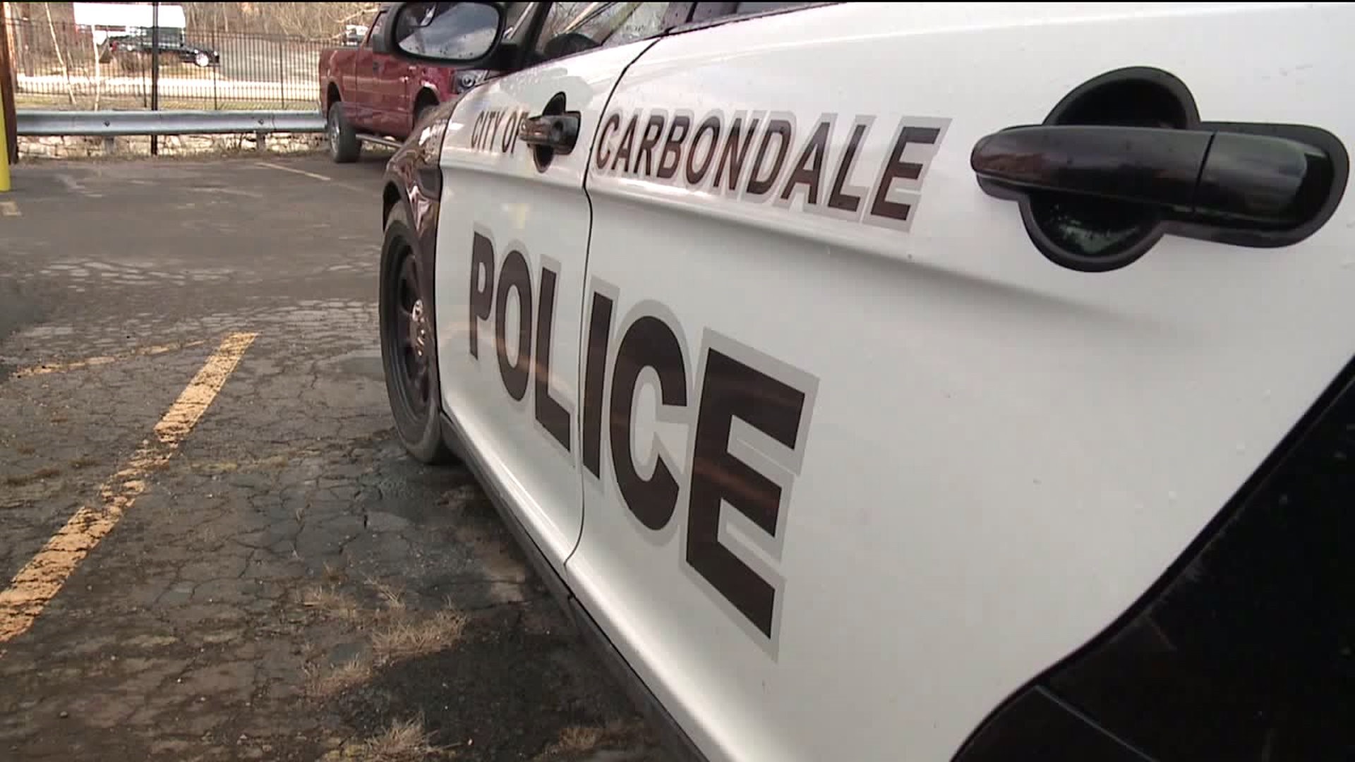 Dog Shot After Attacking Group of Kids, Police in Carbondale