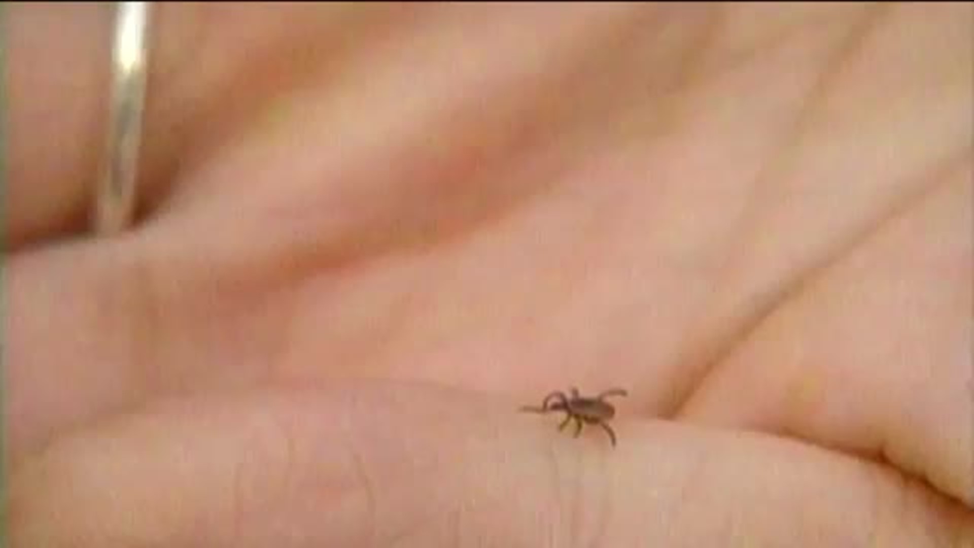 New Health Center Opens for People with Tick-Borne Diseases