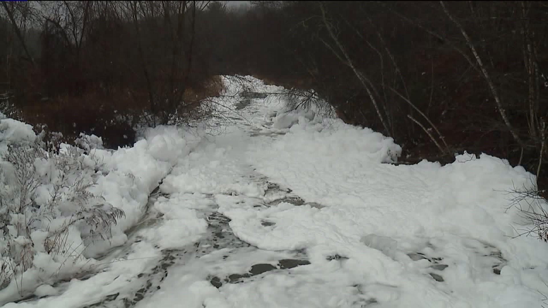 Sudsy Situation in Luzerne County Creek Still Puzzles Investigators