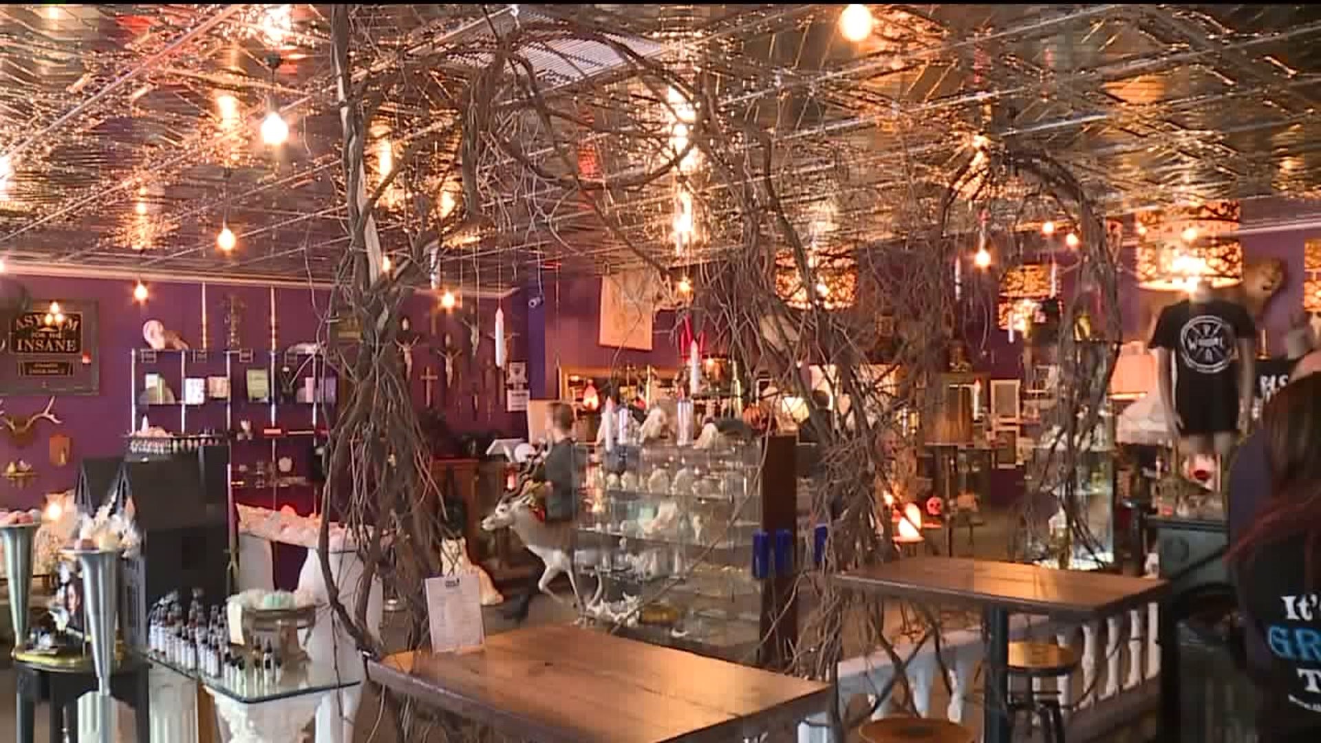 Harry Potter'-Themed Coffee Shop Opens in Kingston