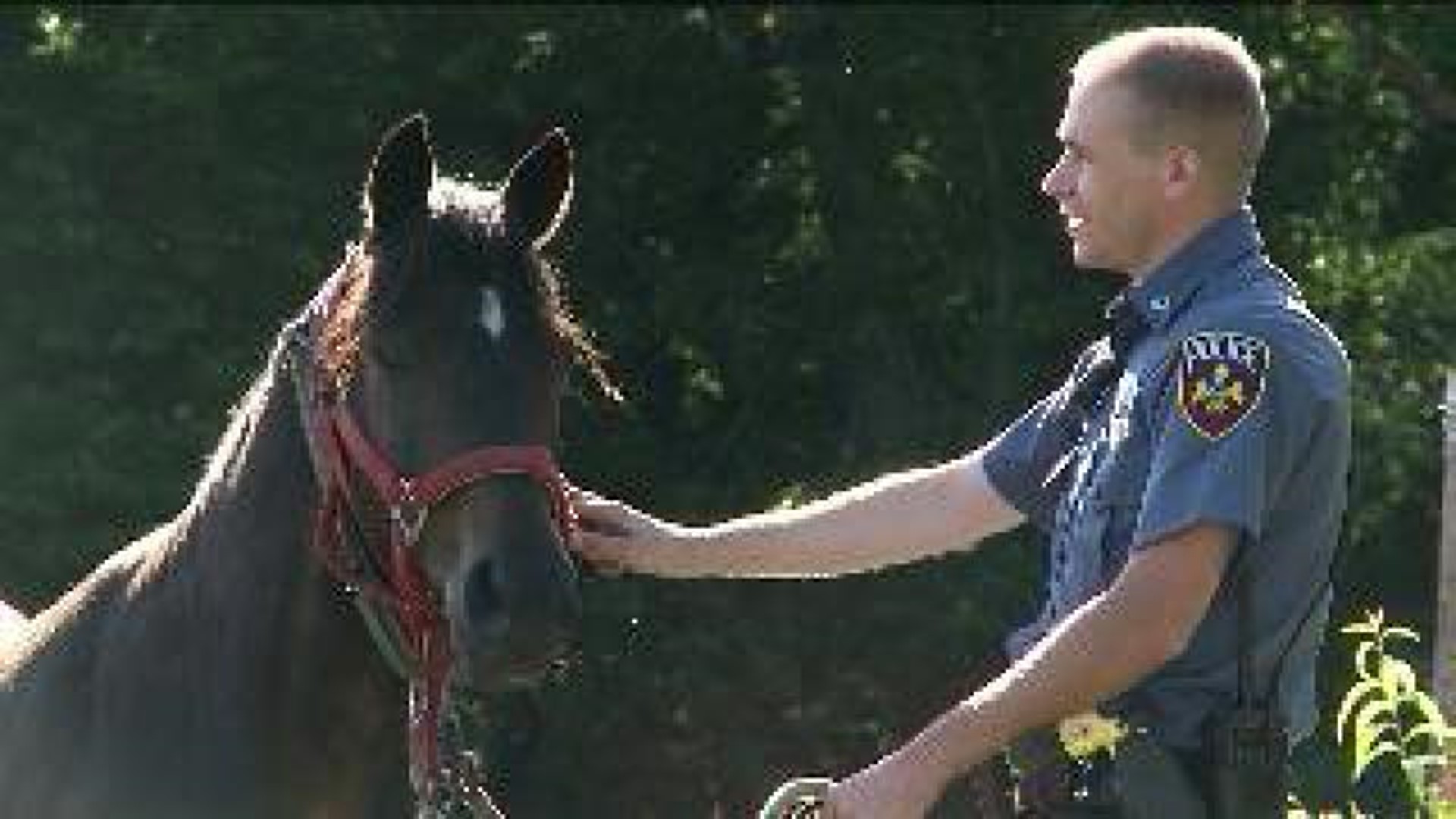 Cops Corral Horse in Old Forge