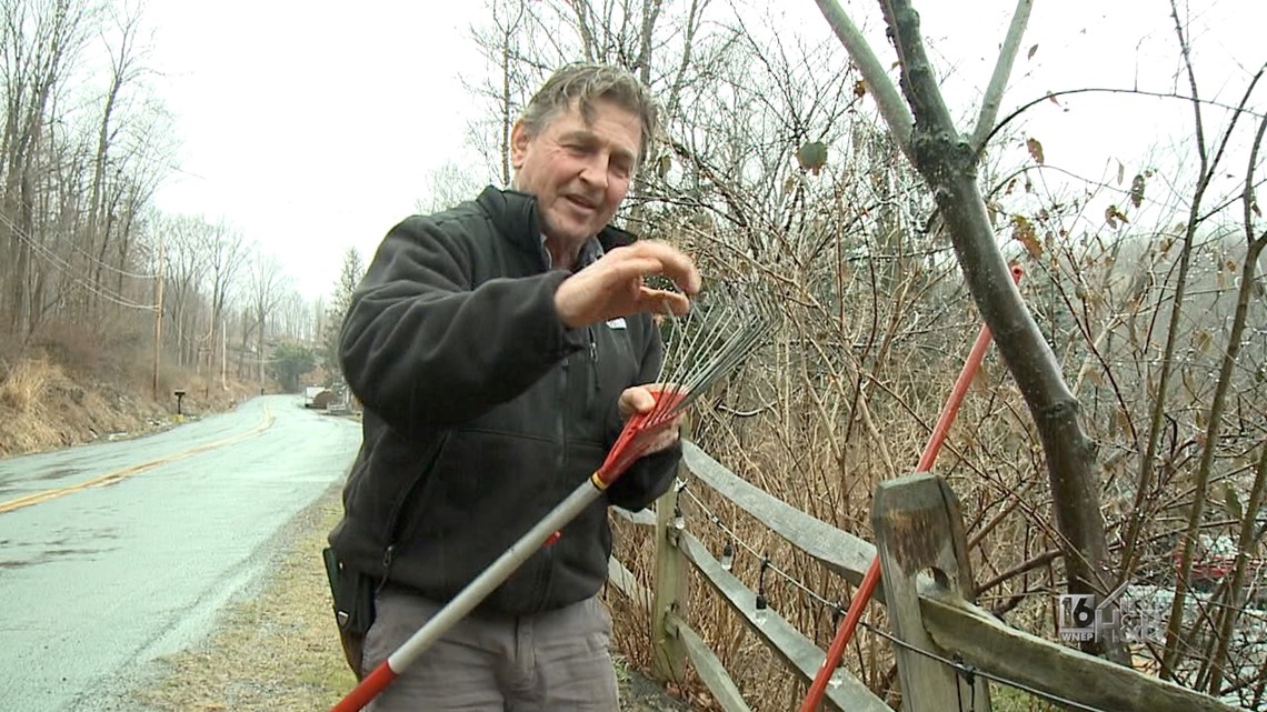 Spring Raking For A Healthy Lawn or Garden | wnep.com