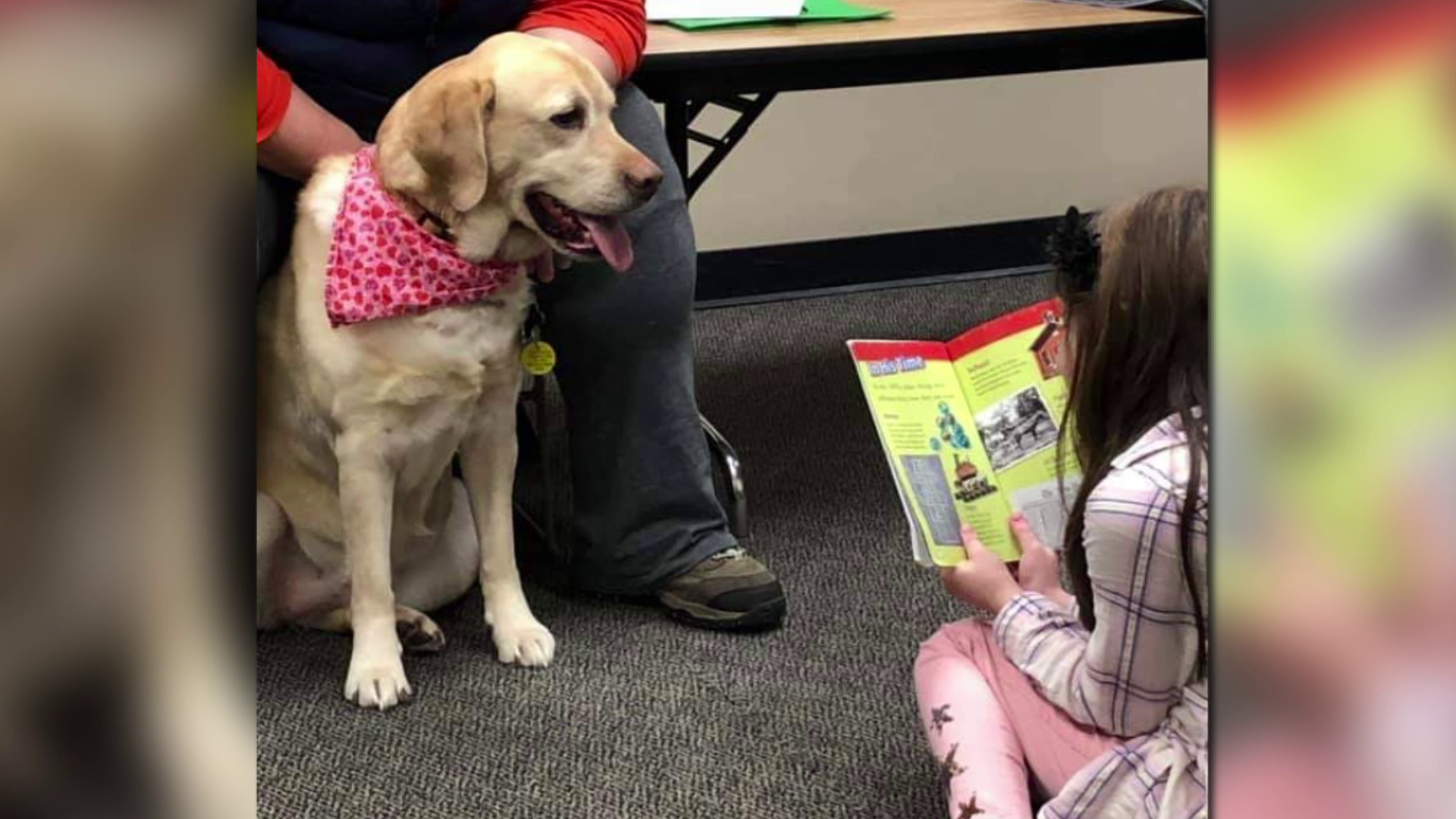 A program is going virtual during a time when kids need reading practice and relief from anxiety and stress.