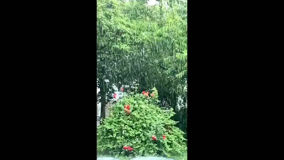 Slowmo Rainfall