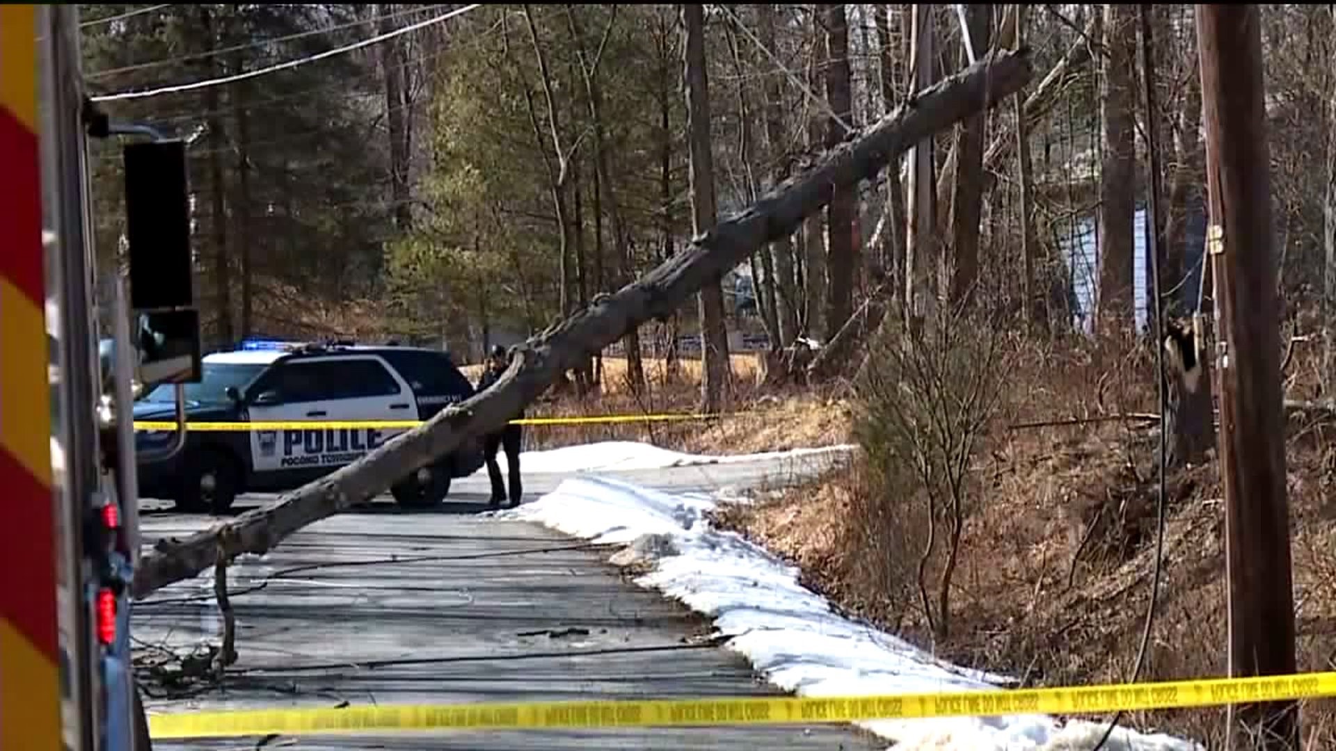 Crews Busy with Downed Trees, Power Lines