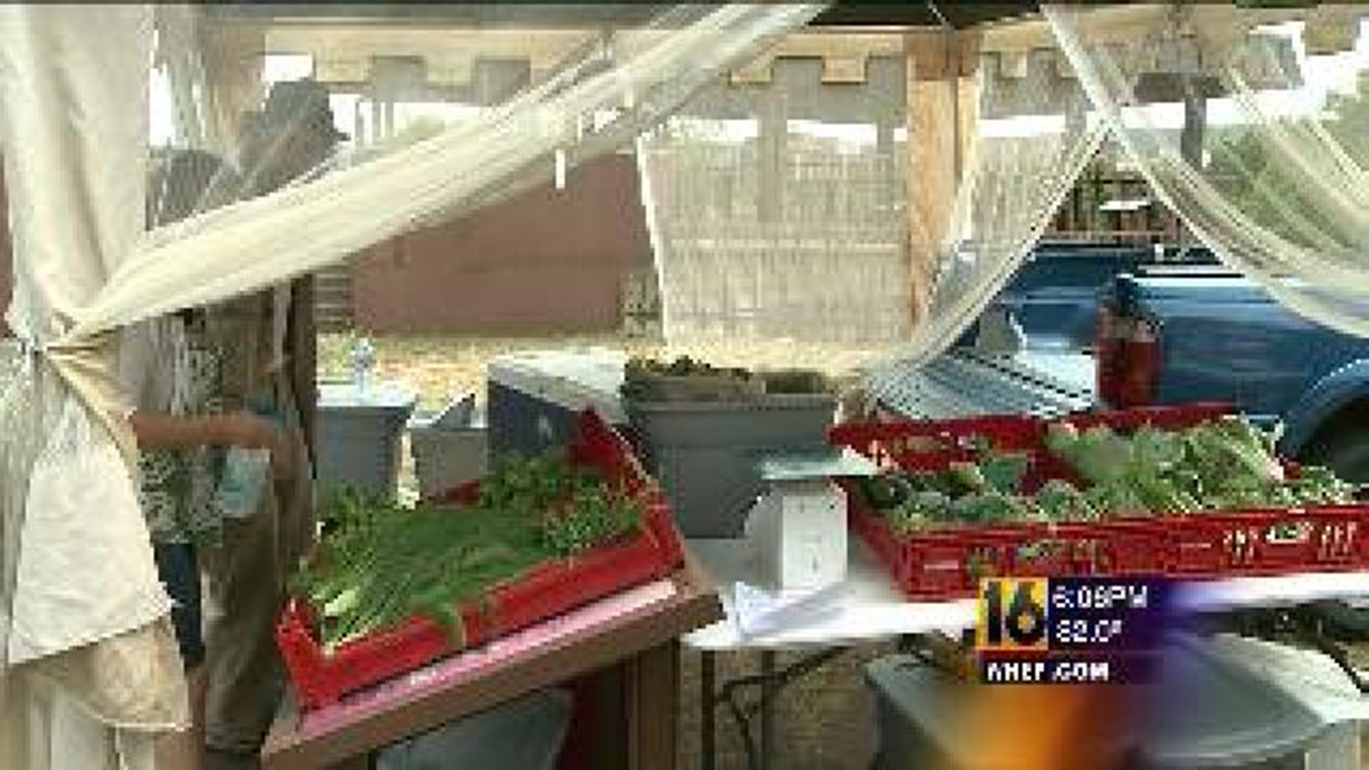 Scranton's South Side Farmers' Market Opens