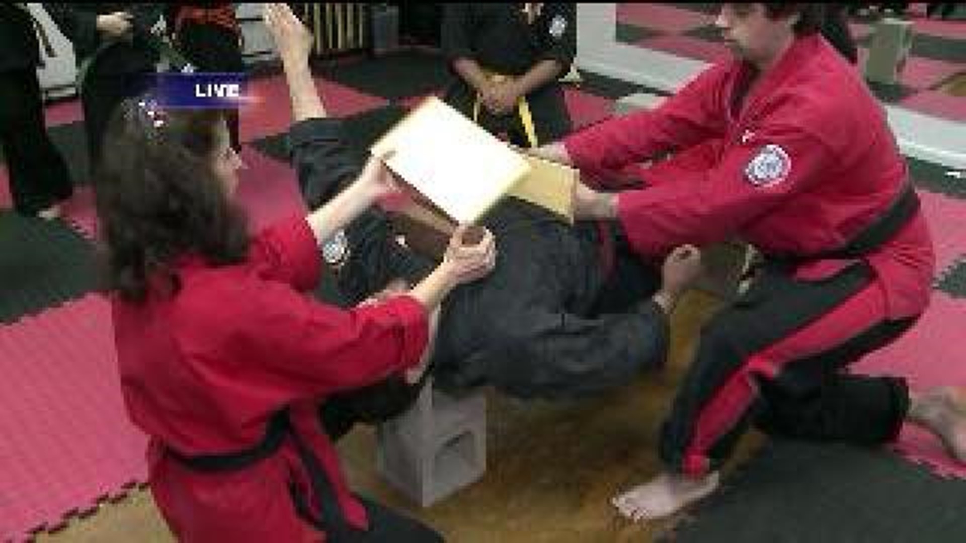 Martial Artists Kick Event Into Action
