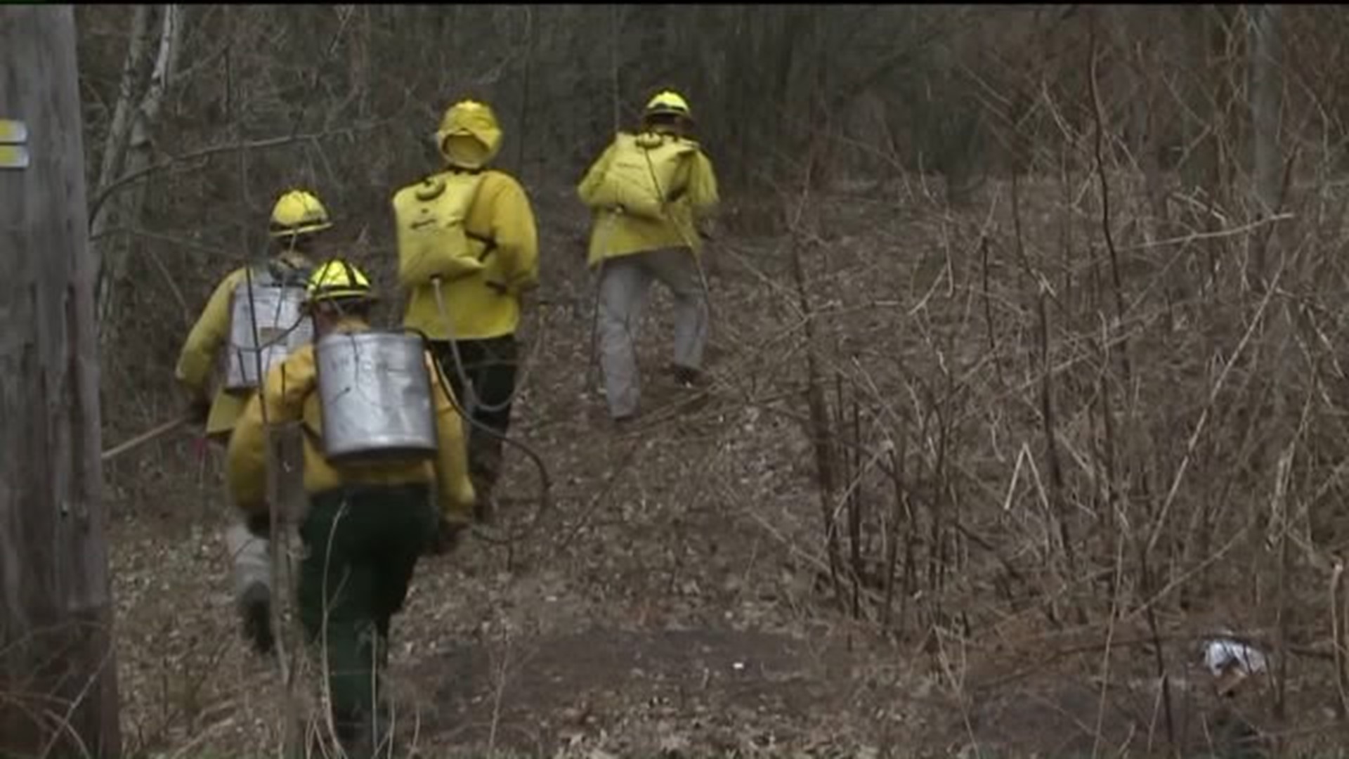 Crews Battle Brush Fire For Hours In Scranton | wnep.com