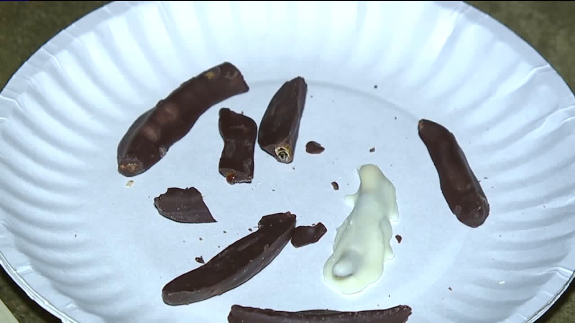 Taste Test: Chocolate Covered Worms