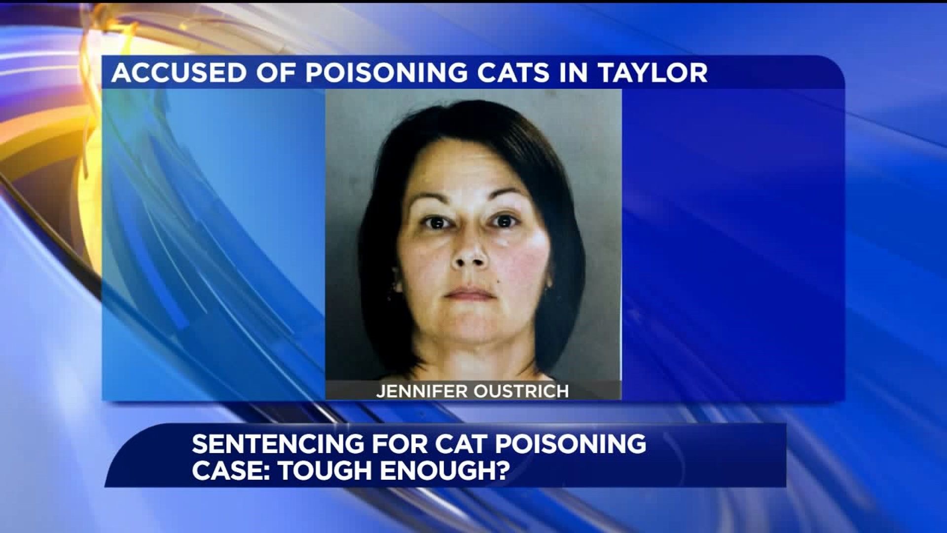 Animal Advocates Concerned Over Sentence in Taylor Cat Case