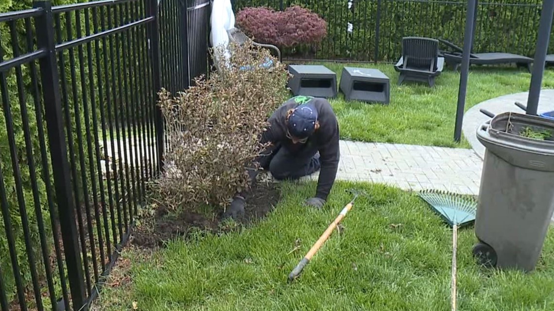 Area landscapers slammed with work - Vimarsana News