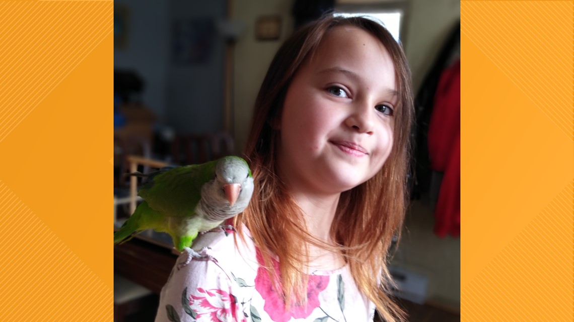 Meet the 9-year-old 'bird whisper' from Luzerne County - Vimarsana News