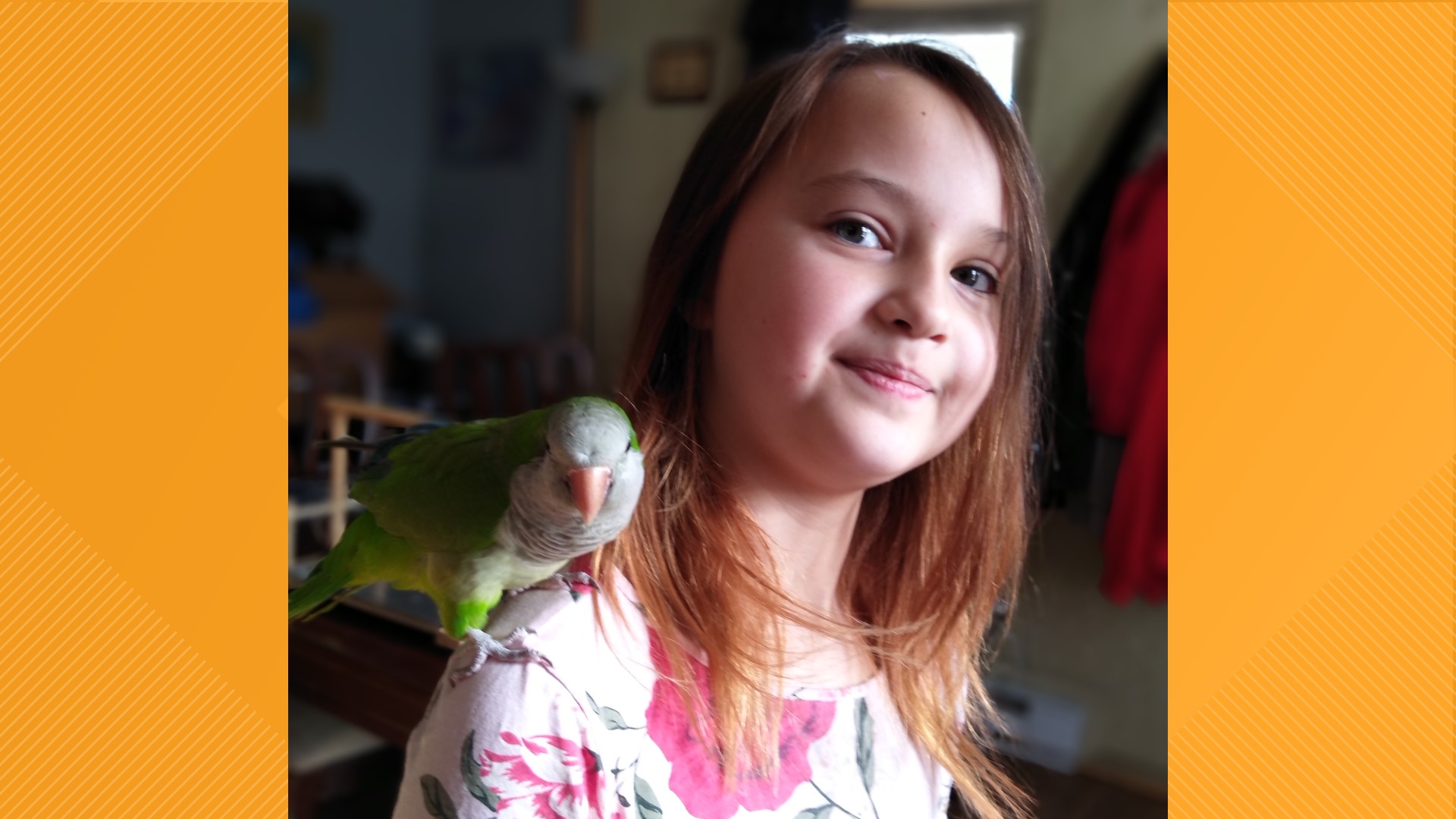 A nine-year-old girl in Plymouth has become quite the bird expert lately, but it’s not her knowledge of her feathered friends that got our attention.