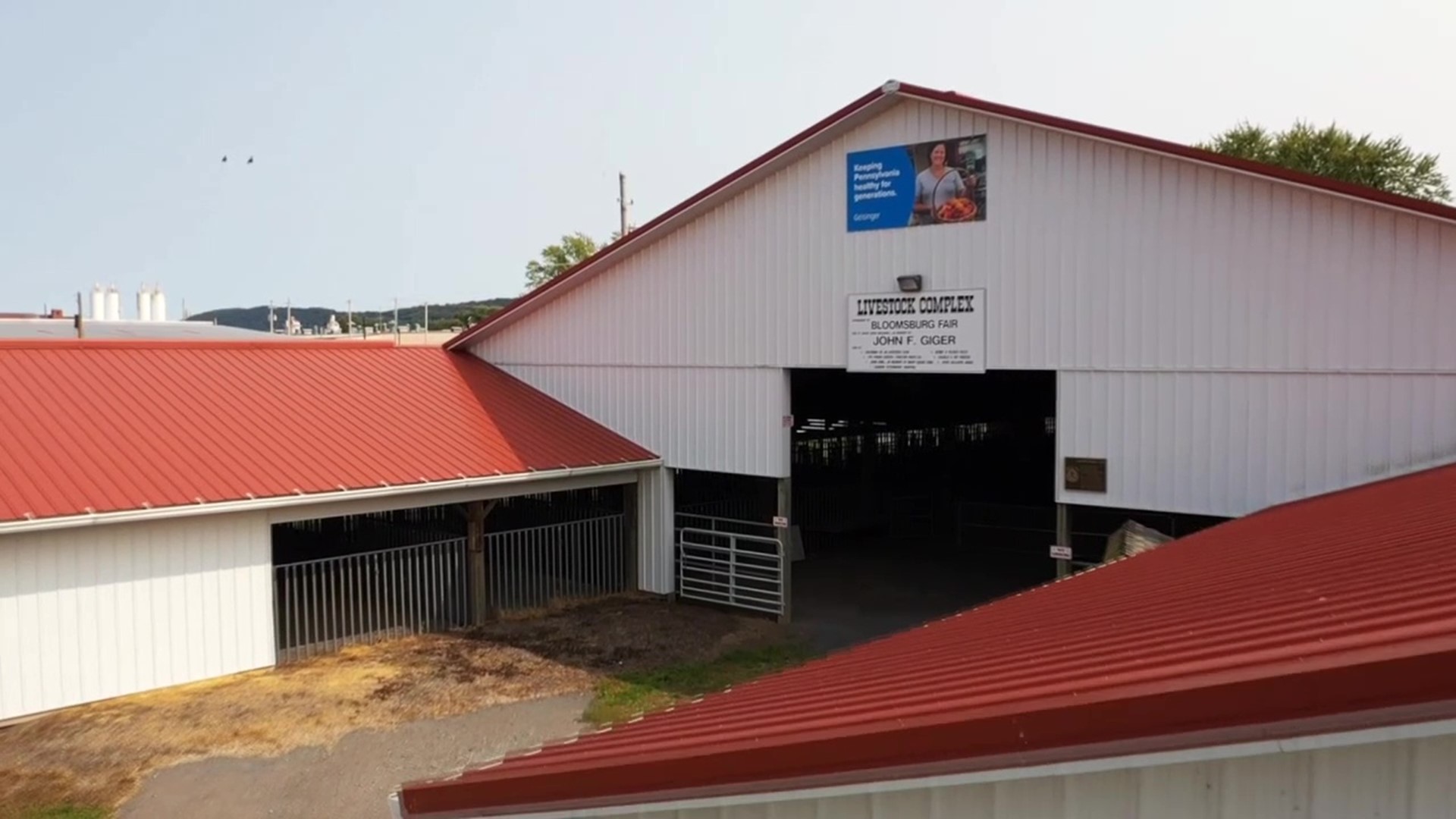 A local auctioneer who runs online estate auctions has offered to oversee the livestock auction virtually at no cost to the fair association.