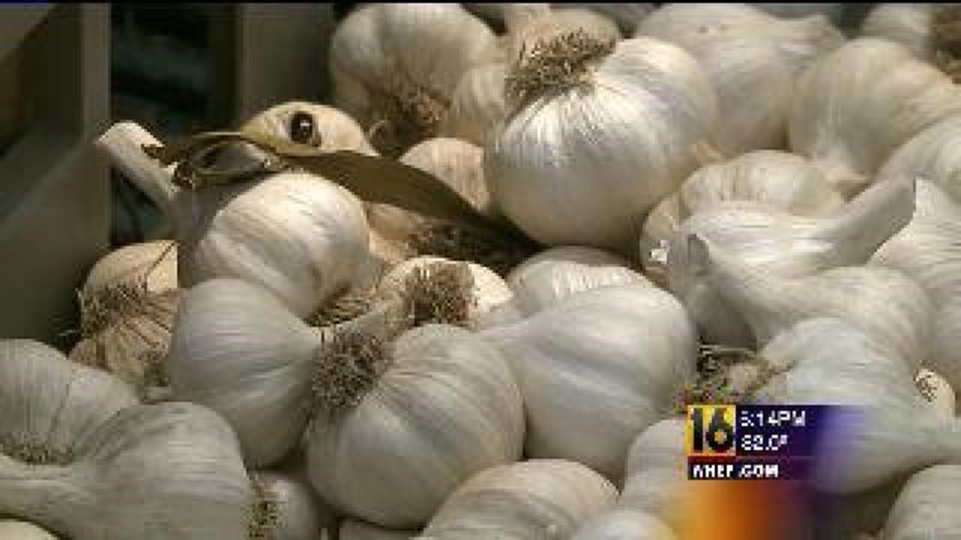 Pocono Garlic Festival Spices Up The Weekend