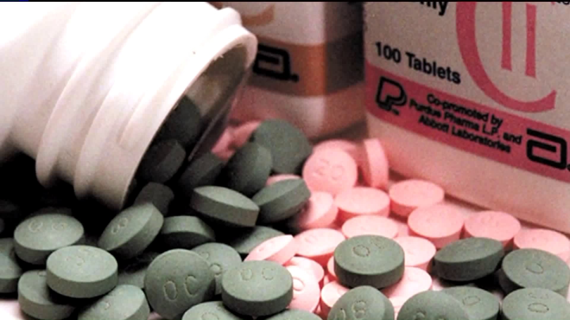 Fighting Opioids in Monroe County