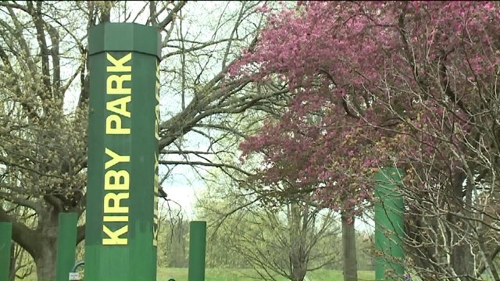 WilkesBarre’s Cherry Blossom Festival in Full Bloom