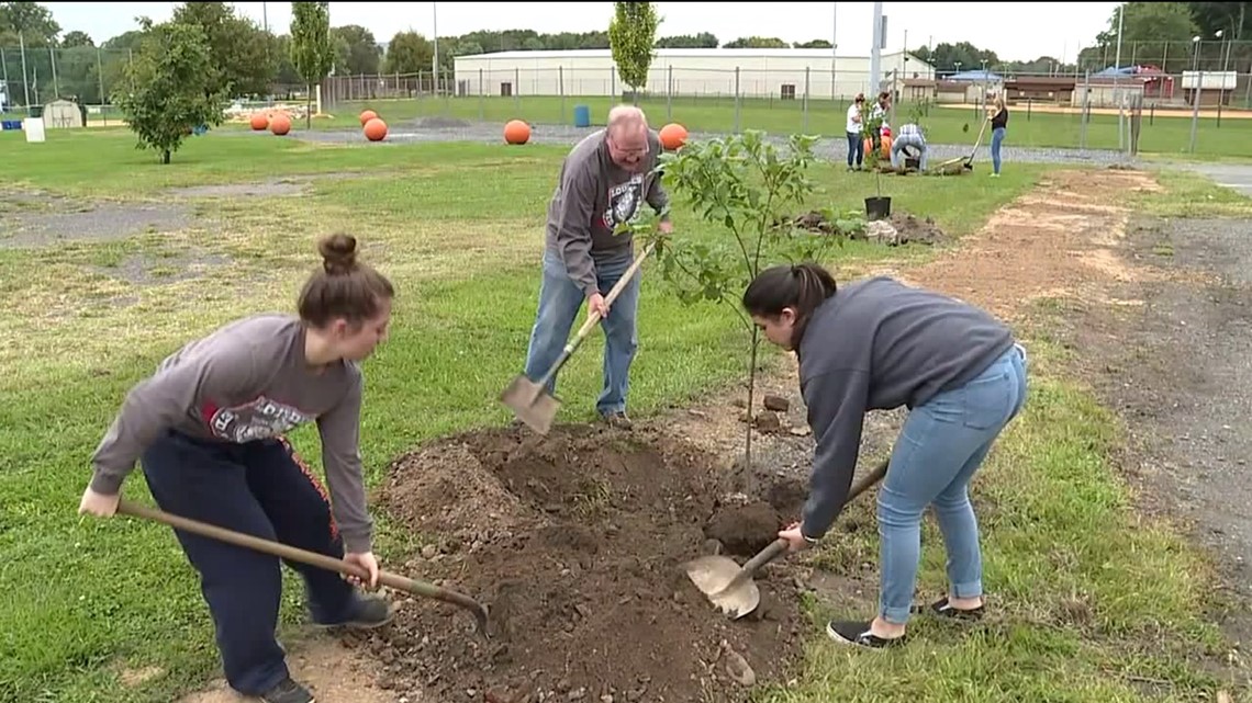 PPL Growing ‘Community Roots’ | wnep.com