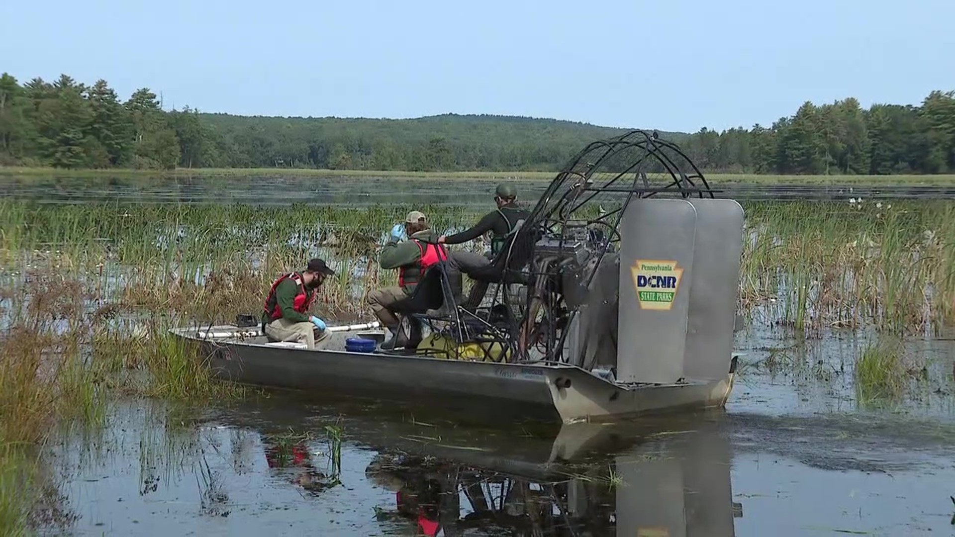 Property owners say Pecks Pond is overgrown with weeds.