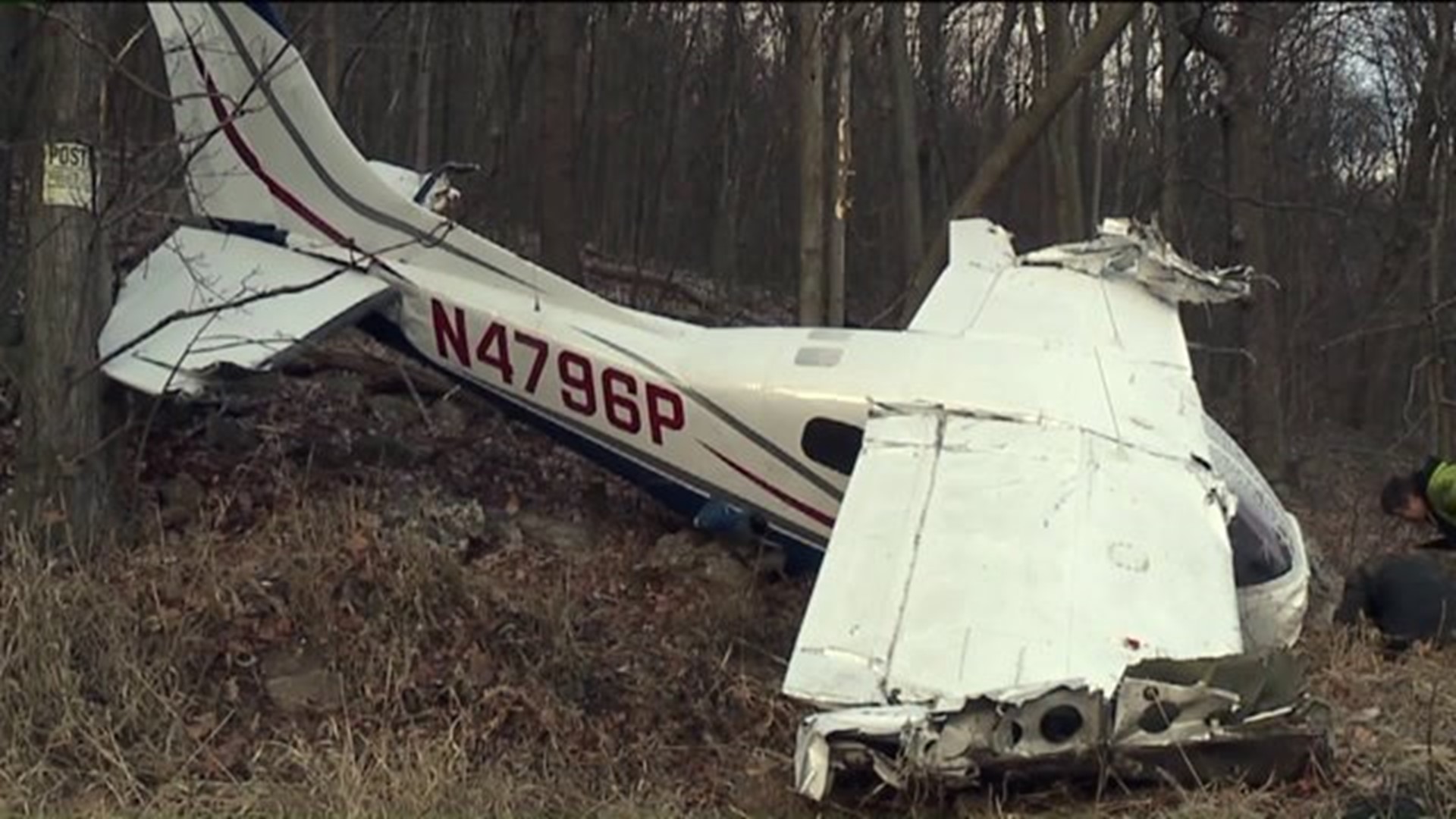 Pilot Cites Training for Surviving Plane Crash