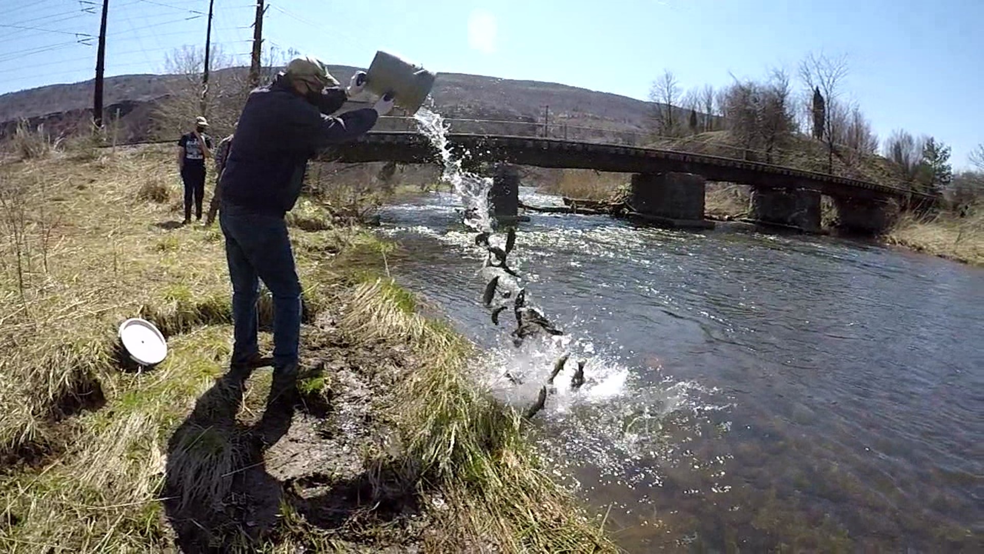 Trout season is a tradition in our area, and so is the custom of volunteers helping put all those fish in the water.