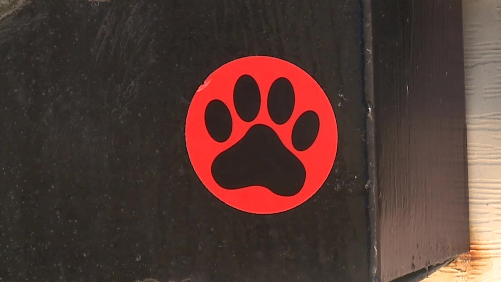 The postal service in Selinsgrove is placing paw print stickers on mailboxes of homes with dogs.