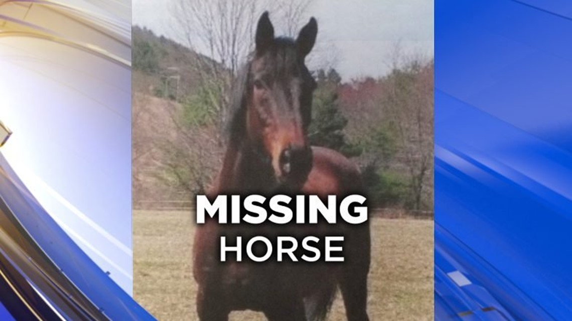 Search for Missing Horse