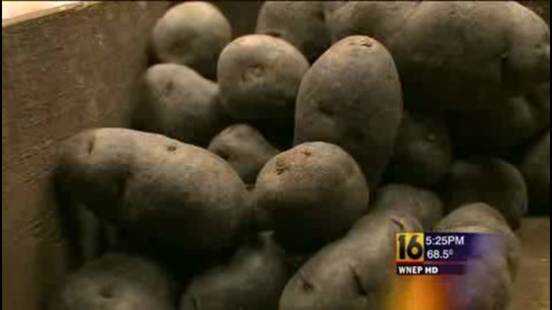 Purple Potatoes and Obesity