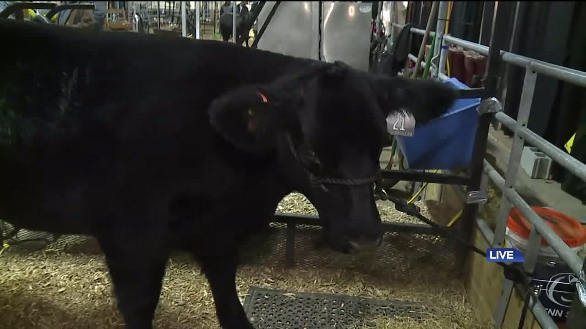 103rd PA Farm Show Launches This Weekend