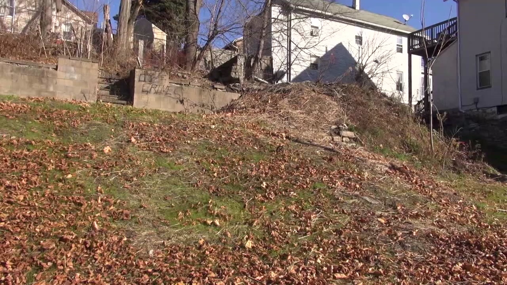 Neighborworks teamed up with the Lackawanna County Landbank and the city to clear away garbage and debris in four lots on Luzerne Street.