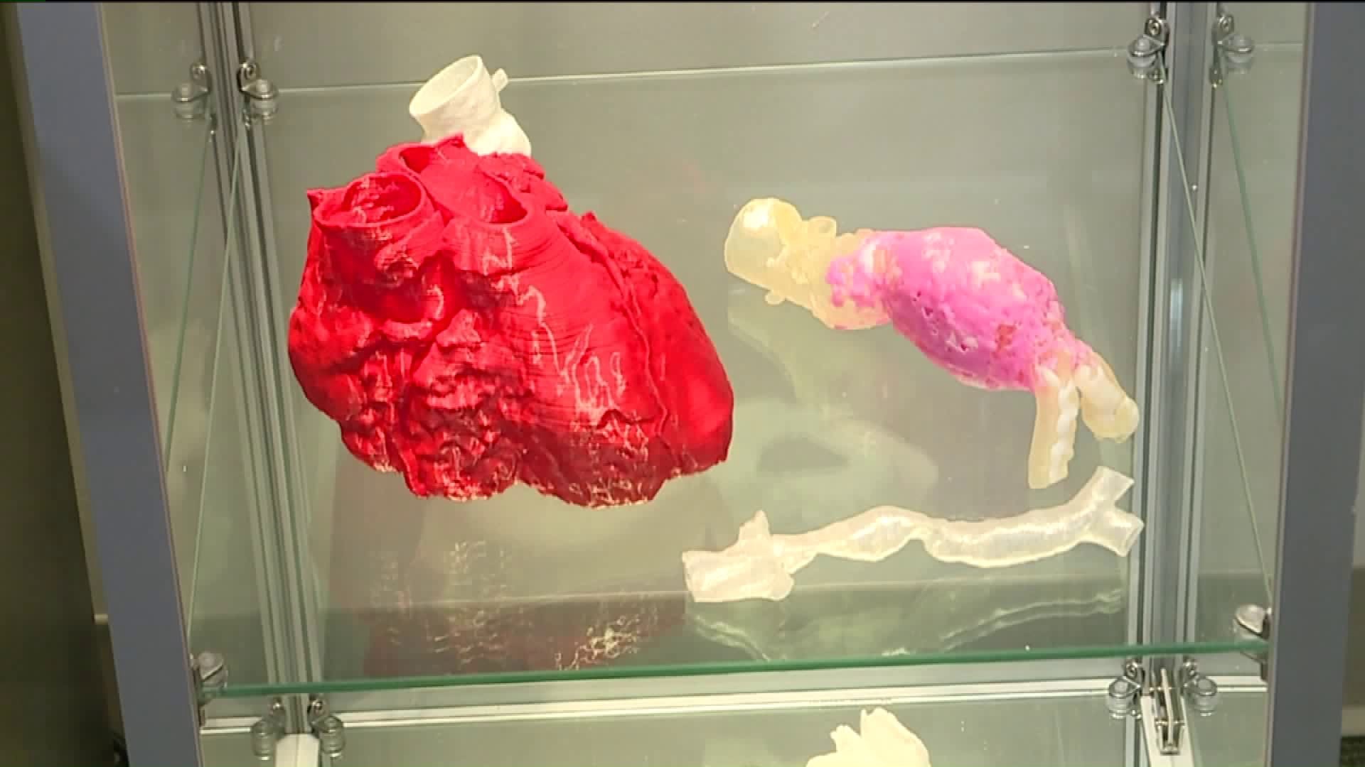 3D Printing Replicates Body Parts