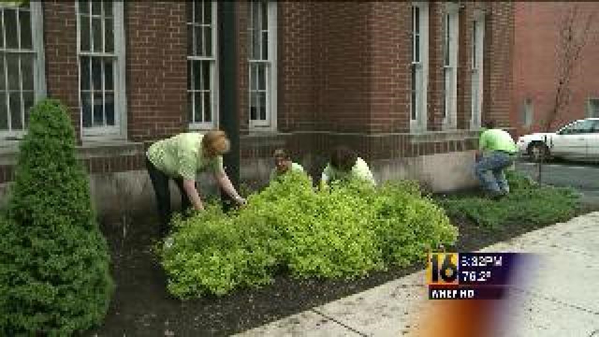 A Day Of Caring In Schuylkill County