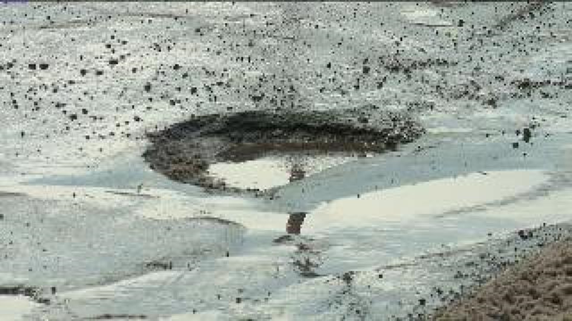 Plan to Patch Potholes Foiled by Snow