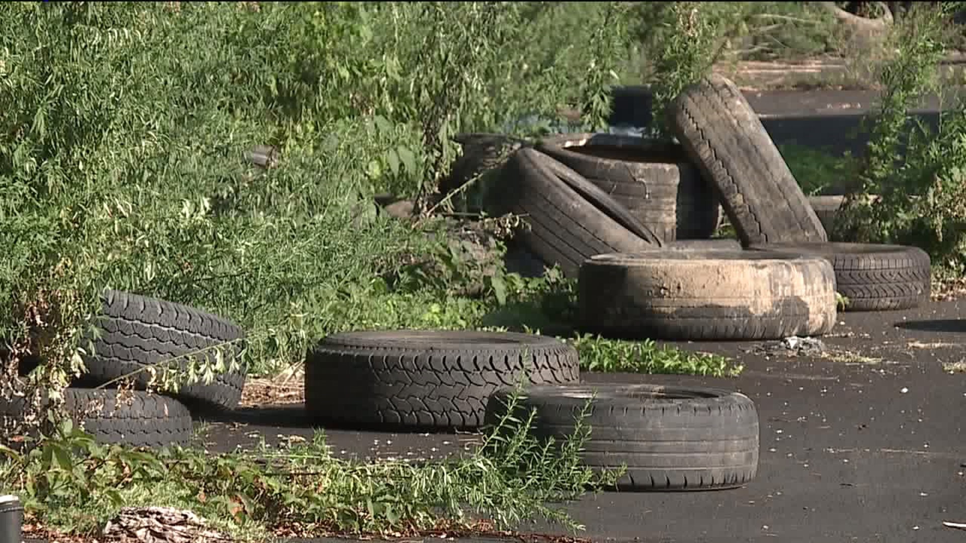 Woman, Two Teens Charged with Dumping Tires in Schuylkill County